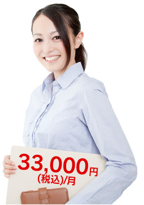 月額30000万円(税別)/月